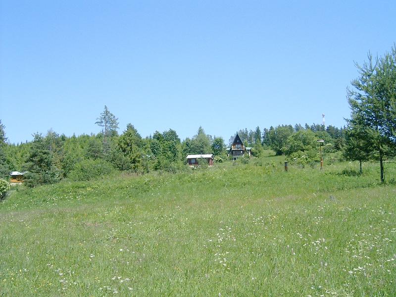 20120616 028.jpg
